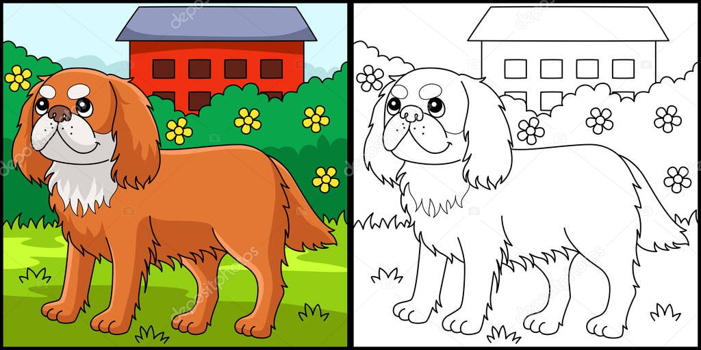 This coloring page shows King Charles Spaniel. One side of this illustration is colored and serves as an inspiration for children.