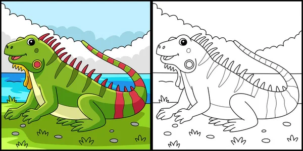 Coloring Page Shows Iguana Animal One Side Illustration Colored Serves — Vector de stock
