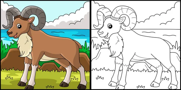 Coloring Page Shows Urial Animal One Side Illustration Colored Serves — Wektor stockowy