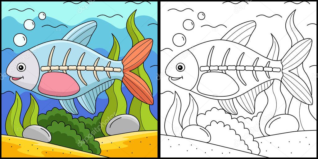 This coloring page shows a X-ray Fish Animal. One side of this illustration is colored and serves as an inspiration for children.