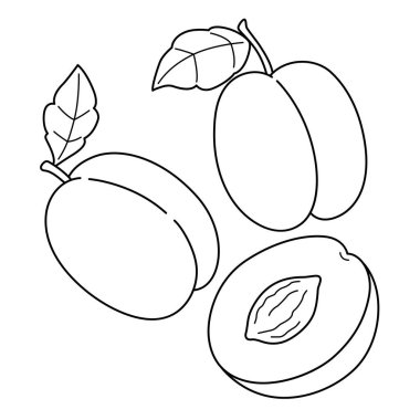 A cute and funny coloring page of a Plum. Provides hours of coloring fun for children. Color, this page is very easy. Suitable for little kids and toddlers.