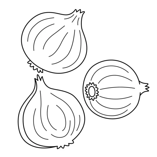 Cute Funny Coloring Page Onion Provides Hours Coloring Fun Children — 图库矢量图片