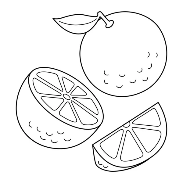 Cute Funny Coloring Page Orange Provides Hours Coloring Fun Children — ストックベクタ