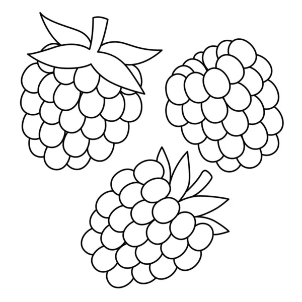 Cute Funny Coloring Page Raspberry Provides Hours Coloring Fun Children —  Vetores de Stock