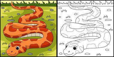This coloring page shows a Corn Snake Animal. One side of this illustration is colored and serves as an inspiration for children.