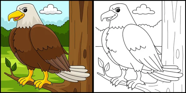 Coloring Page Shows Eagle Animal One Side Illustration Colored Serves — Διανυσματικό Αρχείο