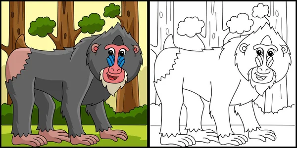 Coloring Page Shows Mandrill Animal One Side Illustration Colored Serves — 스톡 벡터