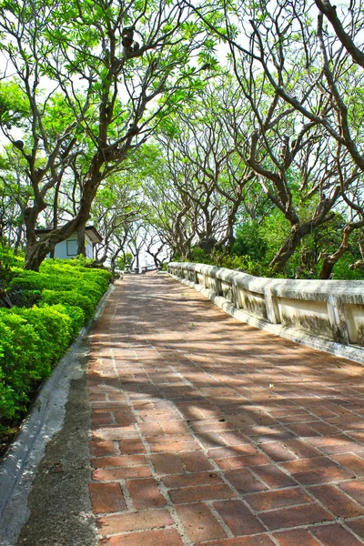 Chemin rouge dans le parc — Photo