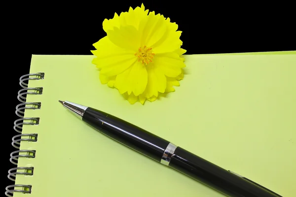 Pluma descansando en el cuaderno y la flor amarilla —  Fotos de Stock