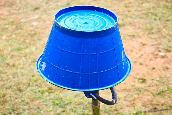 Water buckets in a garden — Stock Photo, Image