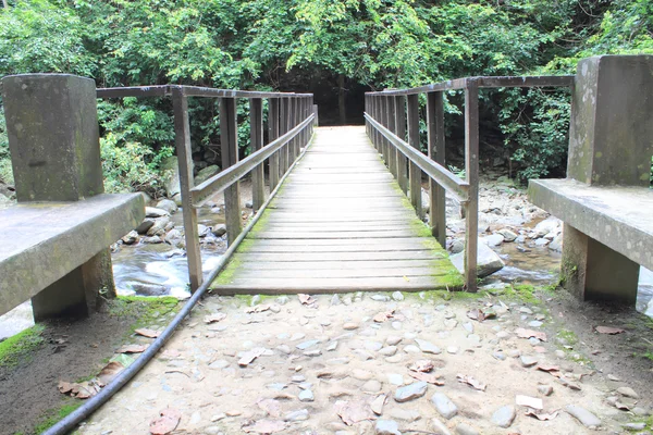 Brücke über den Wasserfall im Wald — Stockfoto
