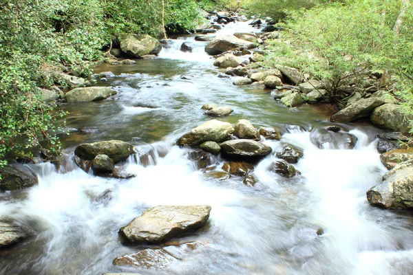 Cascada en el bosque — Foto de Stock