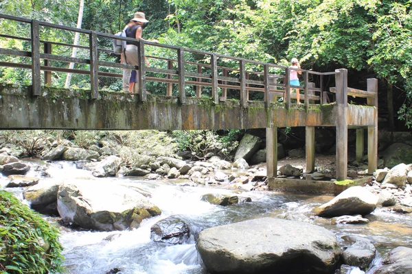 Ponte sobre a cachoeira na Floresta — Fotografia de Stock