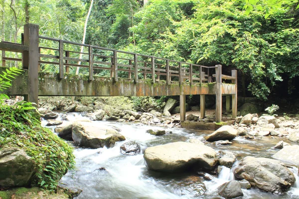 Orman şelale üzerinde köprü — Stok fotoğraf