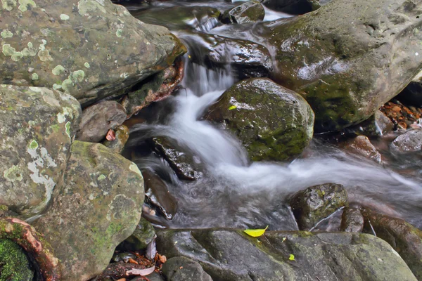 Vattenfall i skogen — Stockfoto