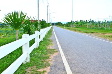 beyaz çitli uzun özel ülke yolda