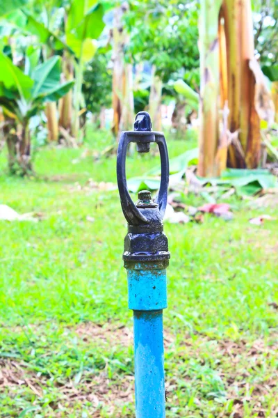 Sprinkler for agricultural water system in garden — Stock Photo, Image