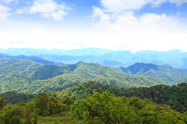 Uitzicht op de vallei aan de hoge toppen van 1200 meter in de nati — Stockfoto