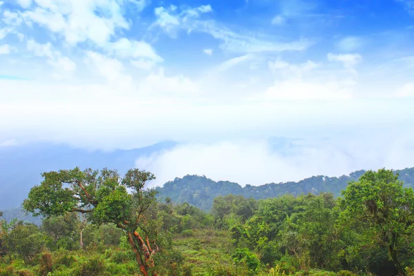 Sea of fog with forests as foreground. This place is in the Kaen — Stock Photo, Image