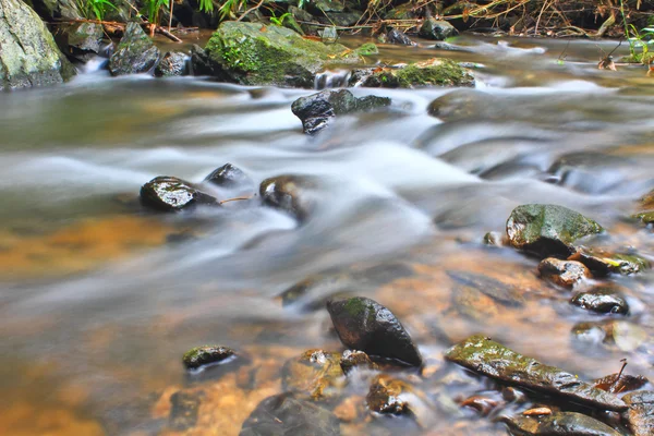 Arbre et mousse sur pierre dans le ruisseau — Photo