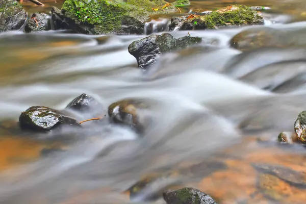 Arbre et mousse sur pierre dans le ruisseau — Photo