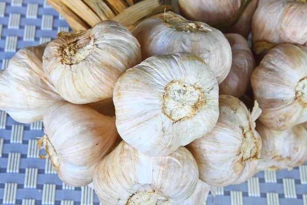 Bunch garlic — Stock Photo, Image