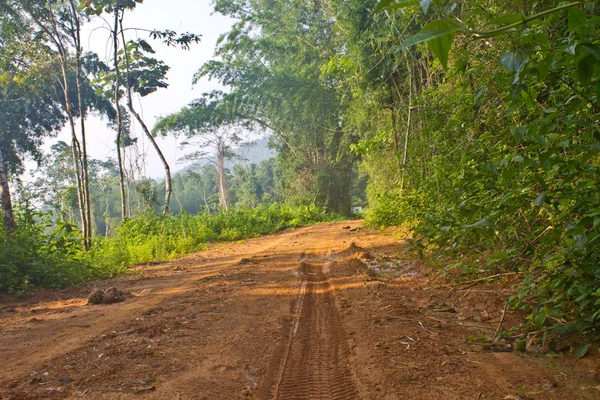 Ruota auto a terra — Foto Stock