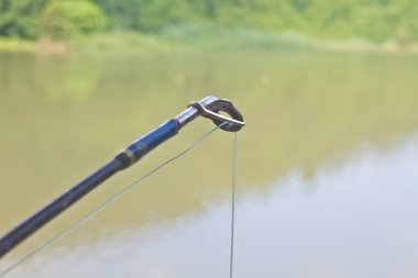 Riverside'da balıkçılık çubuklar