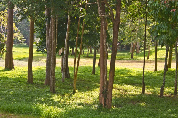 Campeggio nel parco nazionale Kaengkrachan — Foto Stock