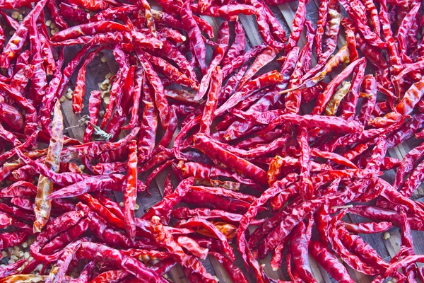 Dried red chili pepper for cooking — Stock Photo, Image