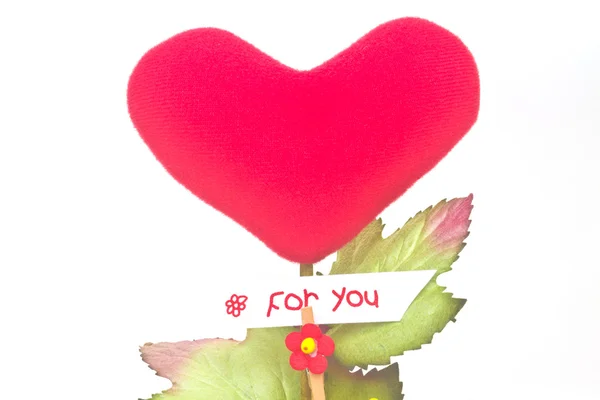 Cesti regalo fiori a forma di cuore — Foto Stock
