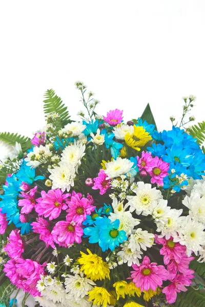 밝은 꽃의 아름 다운 부케 — 스톡 사진