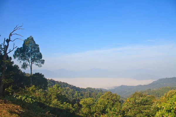 Mar de niebla con bosques como primer plano — Foto de Stock