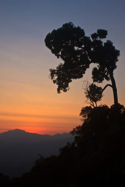 Sunset mountain zemin üzerine — Stok fotoğraf