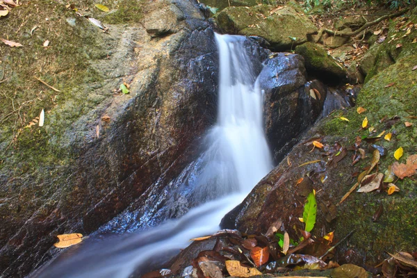 Cascada de la naturaleza en bosque profundo — Foto de Stock