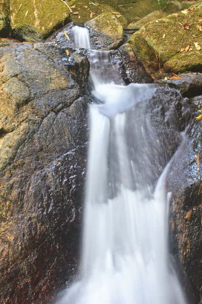 Natur vattenfall i djupa skogen — Stockfoto