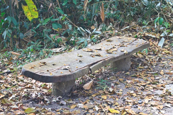 Bench in the park — Stock Photo, Image