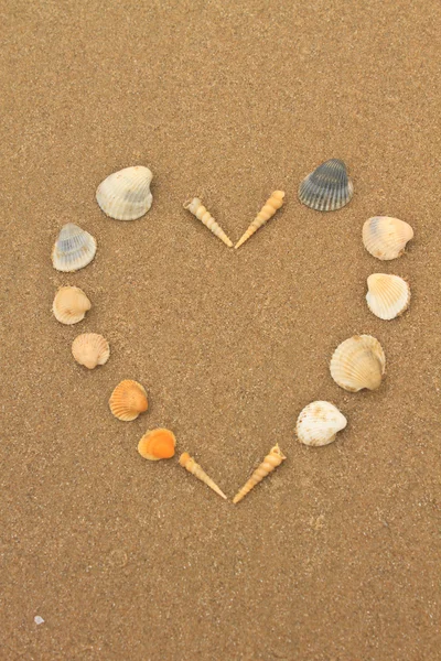 Любовь сердце из ракушек на пляже — стоковое фото