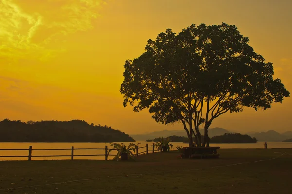 Árbol y puesta de sol en el lago —  Fotos de Stock