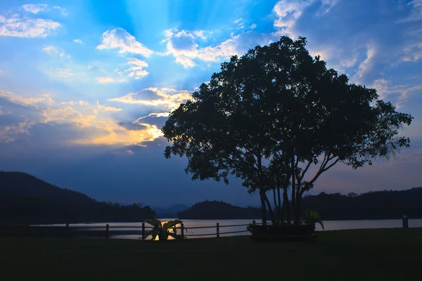 Arbre et coucher de soleil au lac — Photo