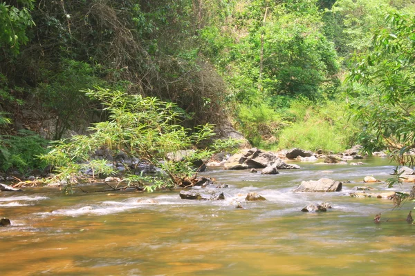 Río en bosque profundo — Foto de Stock