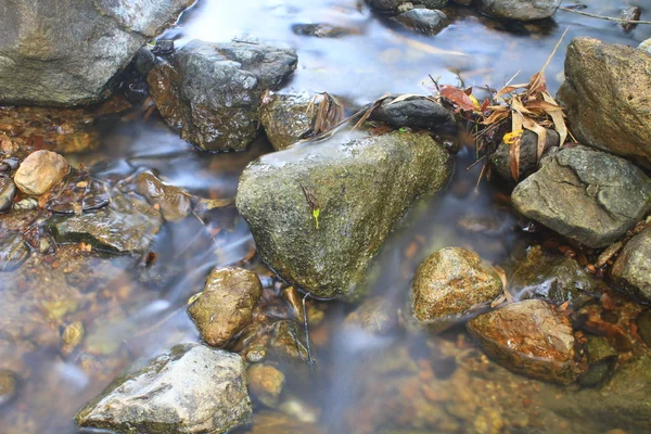 Rivière en forêt profonde — Photo