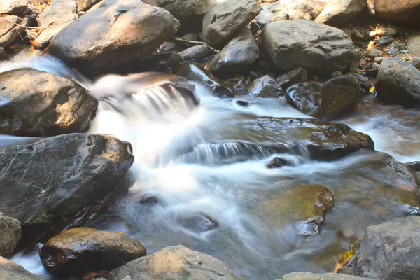 Cachoeira na floresta — Fotografia de Stock