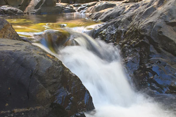 Vattenfall i djupa skogen — Stockfoto