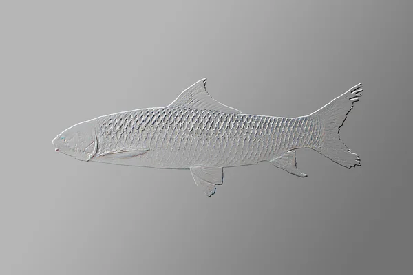 Povrchu ve tvaru ryb tisknout na zdi — Stock fotografie