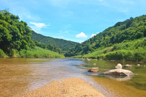 Río en bosque profundo — Foto de Stock