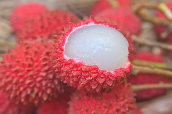 Wild fruit from forest, wild lychee — Stock Photo, Image