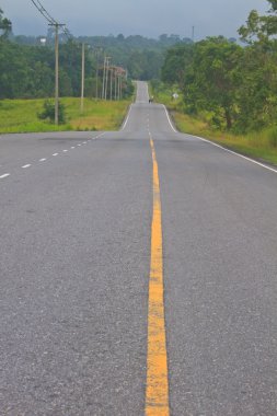 Yeşil bir ormanda yol