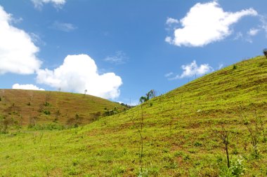 güzel yaz yatay iki dağ çimen