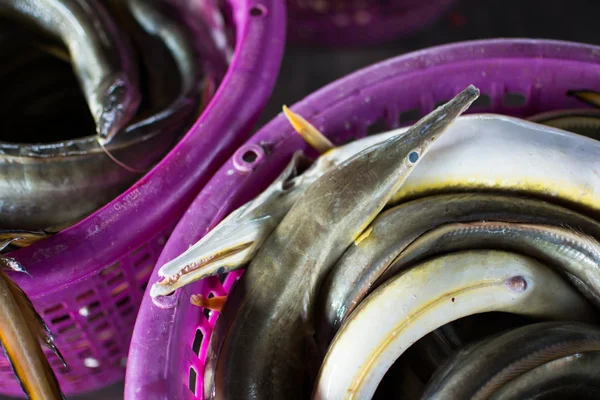 Groupes de poissons prêts à vendre en gros dans le marché aux poissons de Thaïlande — Photo